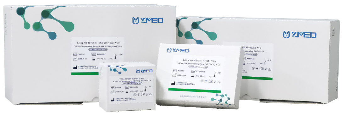 YJSeq 300 High-Throughput Sequencing Kit Set